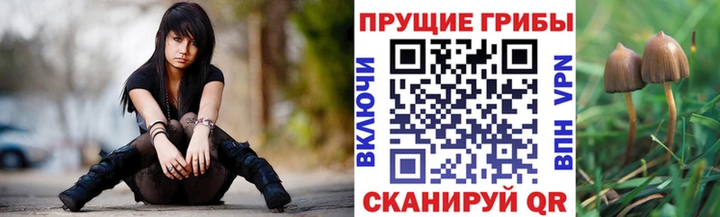 Галлюциногенные грибы MAGIC MUSHROOMS  Заполярный 